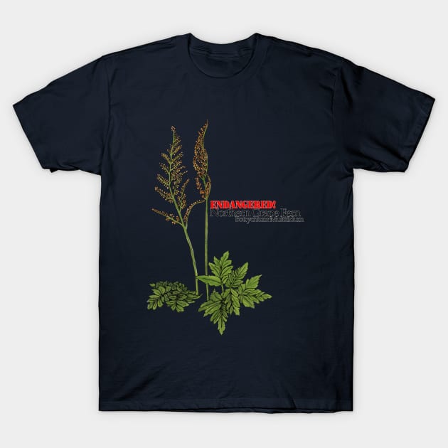 Endangered Northern Grape Fern T-Shirt by Heather Dorsch Creations